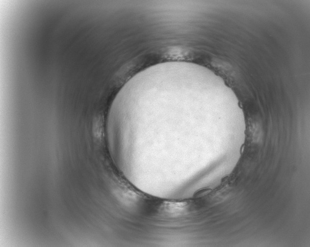 X0000068300665200605051934