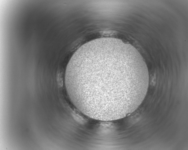 X0000068300666200605051934