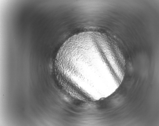 X0000068300668200605051934