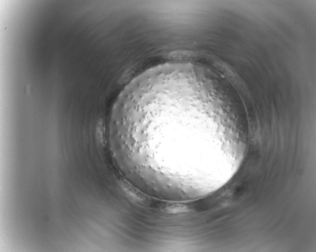 X0000068300669200605051934