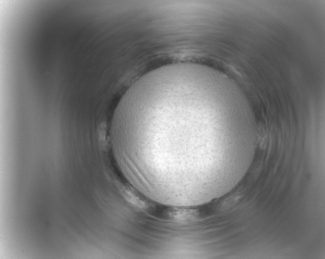 X0000068300670200605051934