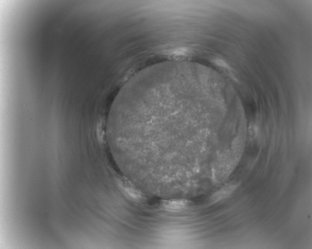 X0000068300671200605051934