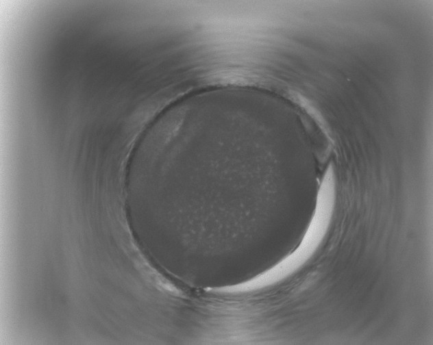 X0000068300673200605051934