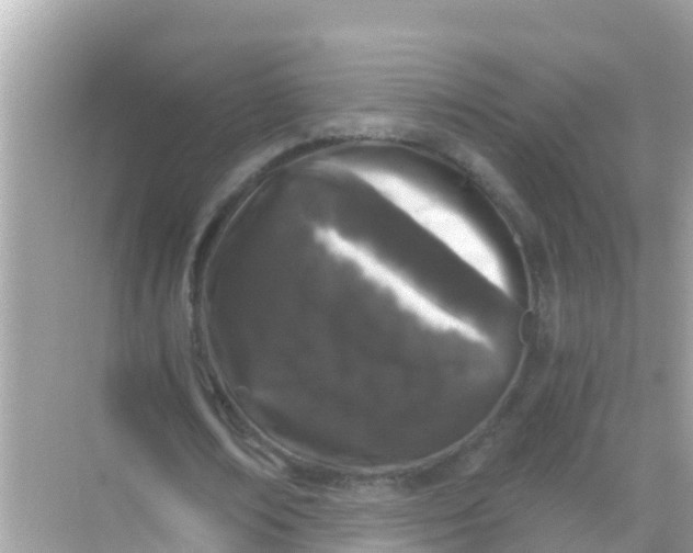 X0000068300674200605051934