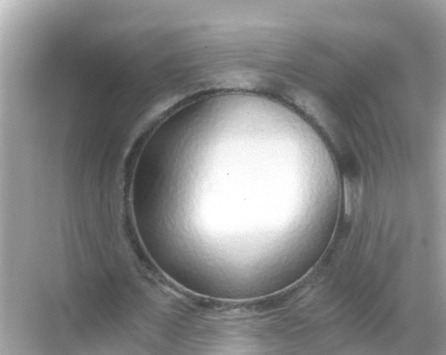 X0000068300675200605051934