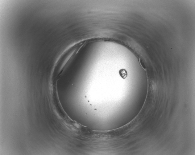 X0000068300676200605051934