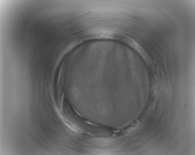 X0000068300677200605051934