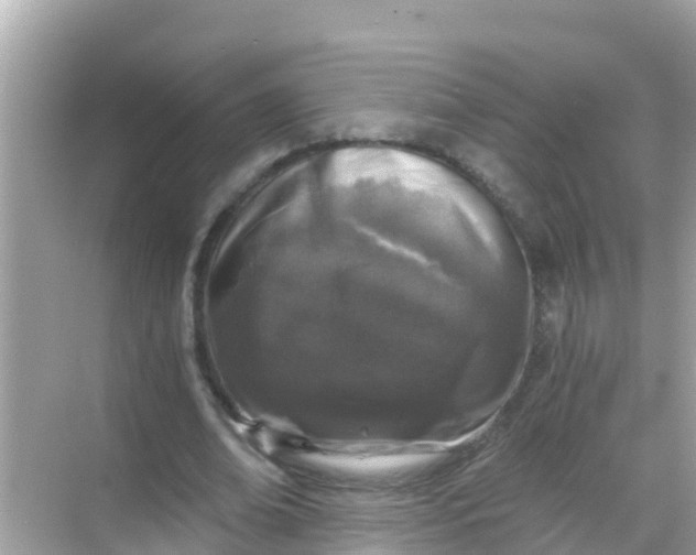 X0000068300678200605051934