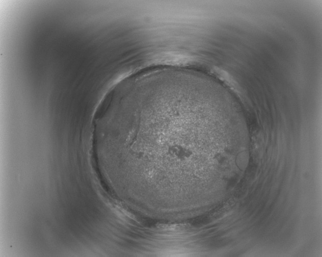 X0000068300679200605051934