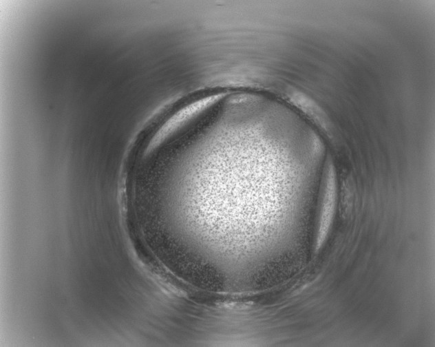 X0000068300680200605051934