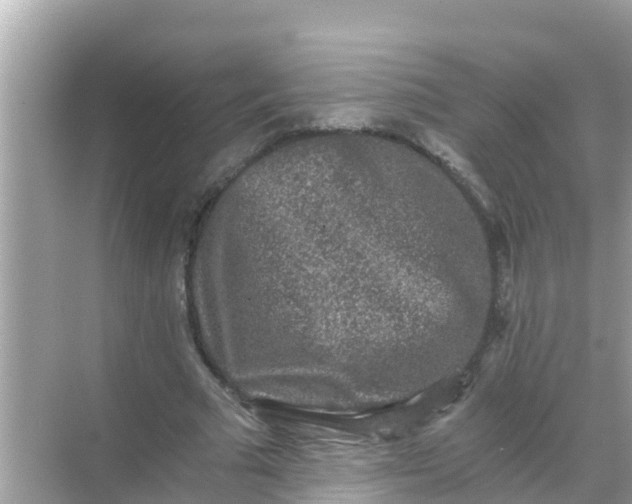 X0000068300681200605051934