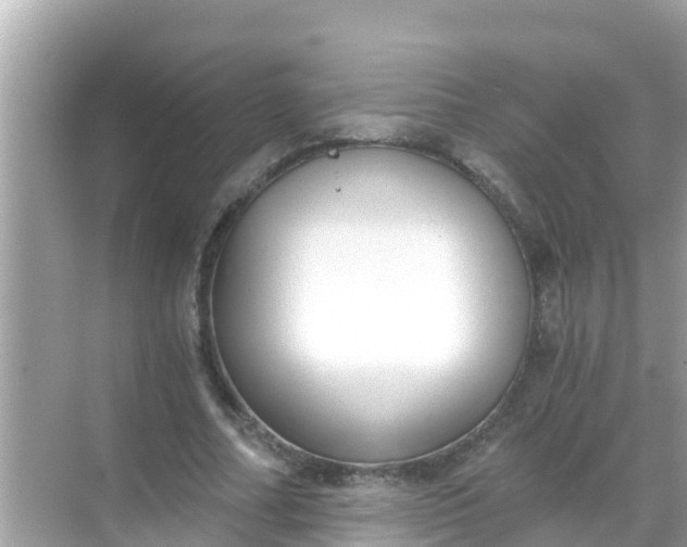 X0000068300682200605051934