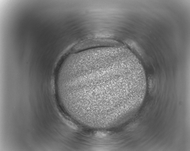 X0000068300684200605051934