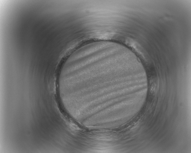 X0000068300685200605051933