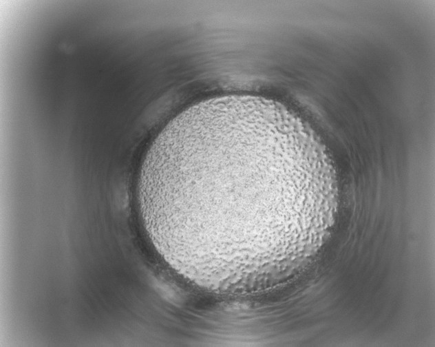 X0000068300687200605051933