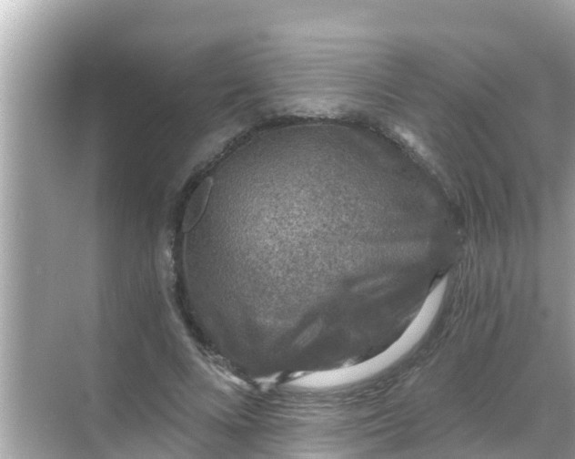 X0000068300688200605051933