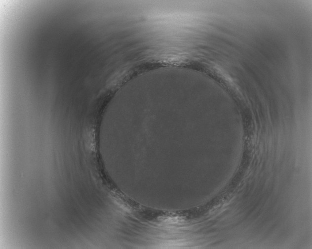 X0000068300689200605051933