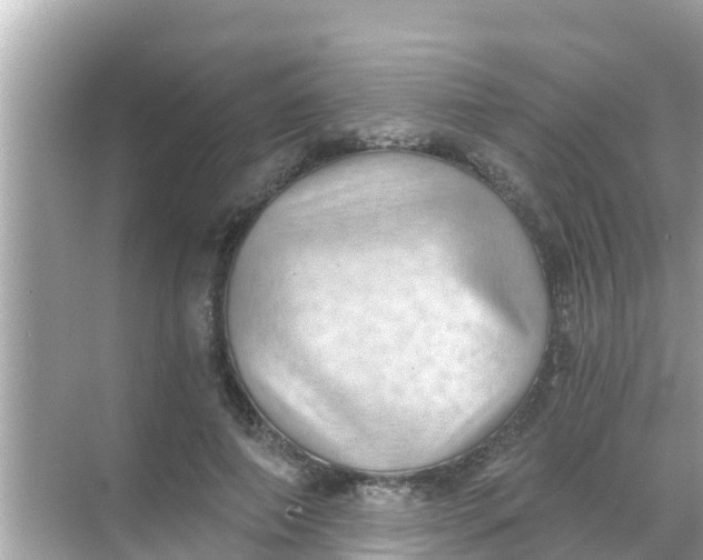 X0000068300690200605051933