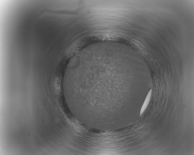 X0000068300695200605051933