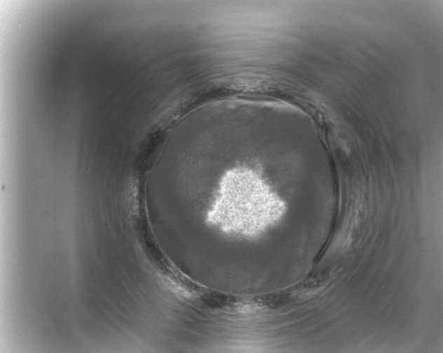 X0000068300696200605051933