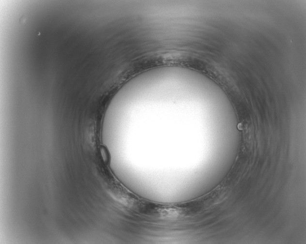 X0000068300698200605051933