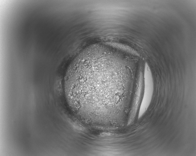 X0000068300699200605051933