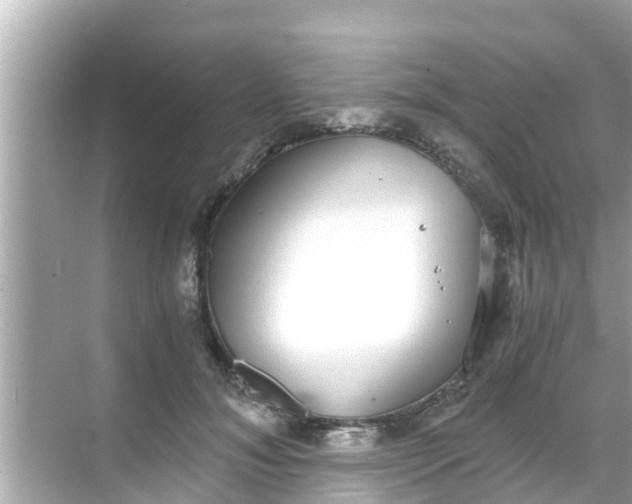 X0000068300700200605051933