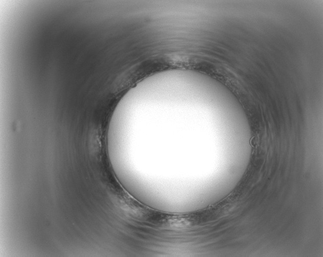 X0000068300702200605051933