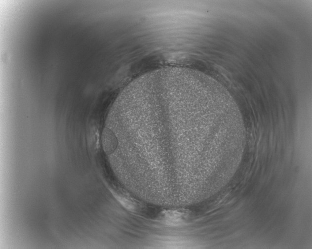 X0000068300703200605051933