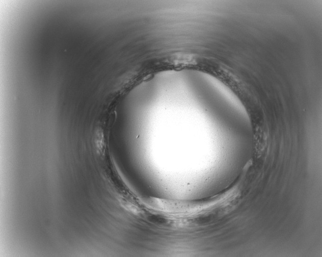 X0000068300704200605051933