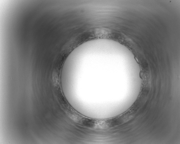 X0000068300705200605051933