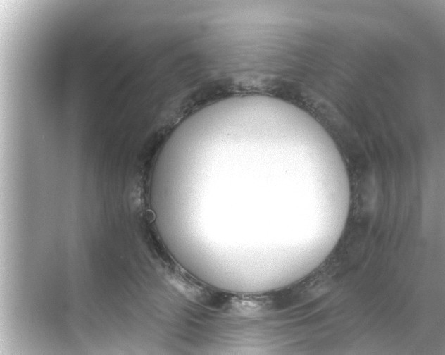 X0000068300706200605051933