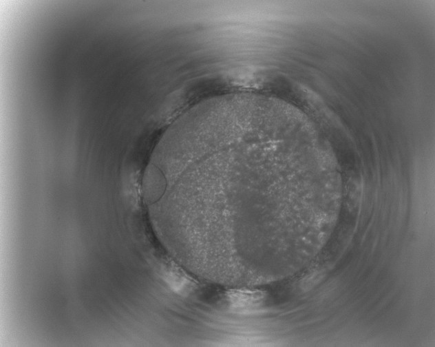 X0000068300707200605051933