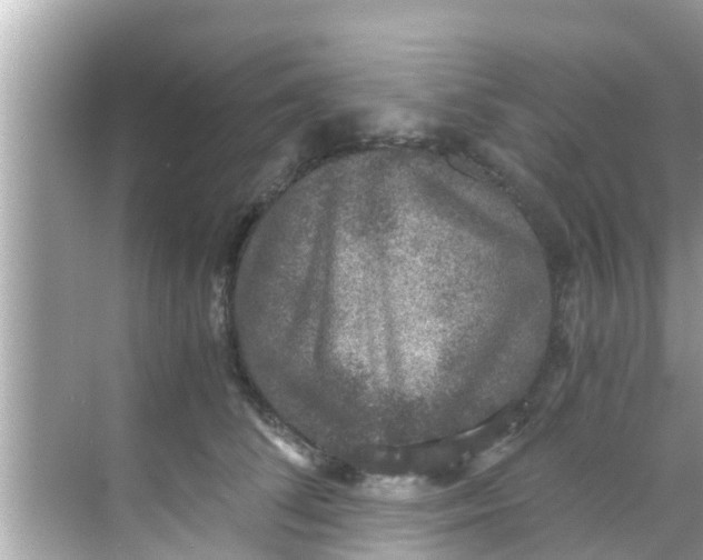 X0000068300708200605051933