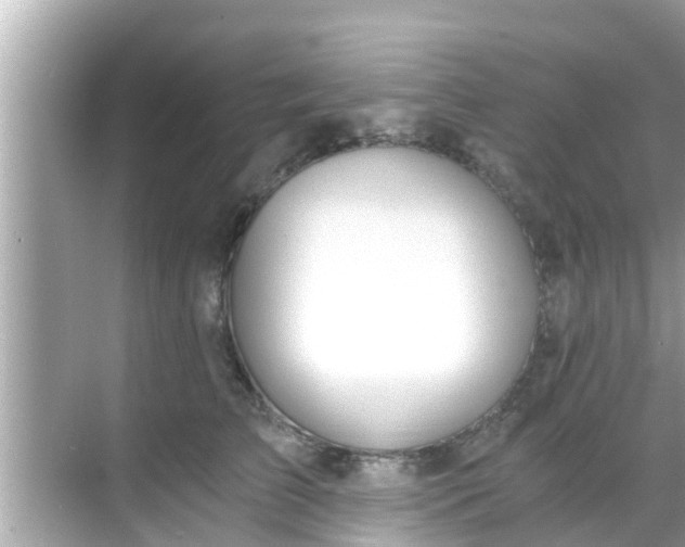 X0000068300709200605051933