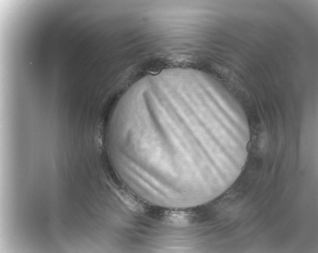 X0000068300710200605051933