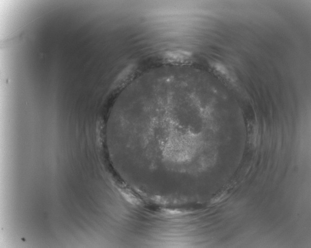 X0000068300712200605051933