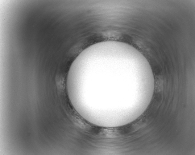 X0000068300713200605051933