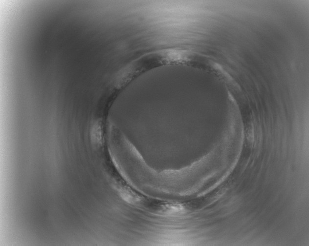 X0000068300715200605051933