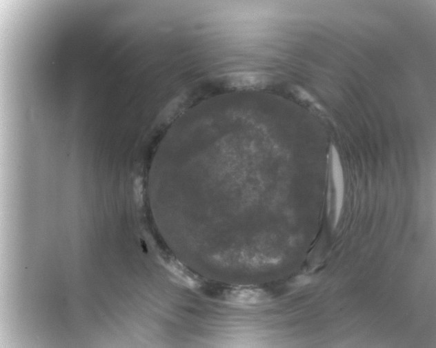 X0000068300716200605051933