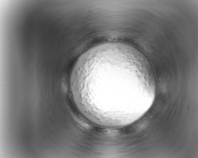 X0000068300719200605051933