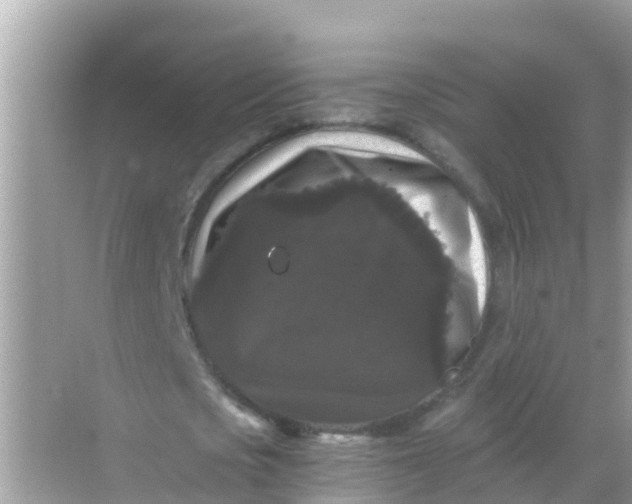 X0000068300721200605051932