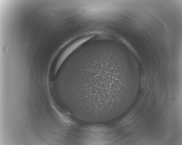 X0000068300722200605051932