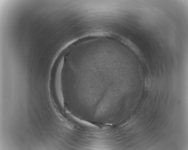 X0000068300724200605051932