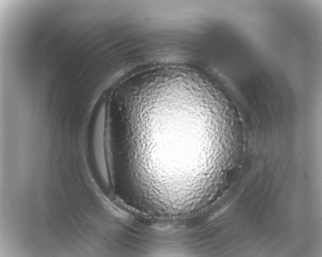 X0000068300725200605051932