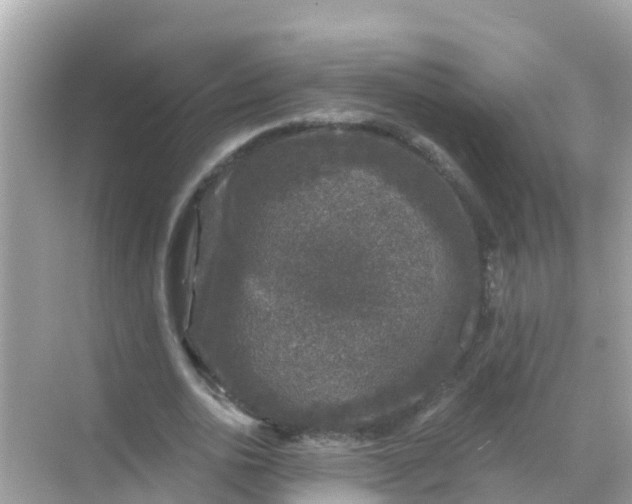 X0000068300726200605051932