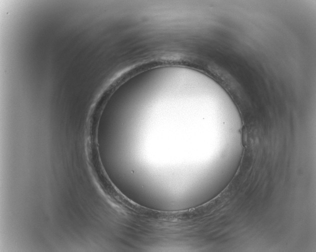 X0000068300728200605051932