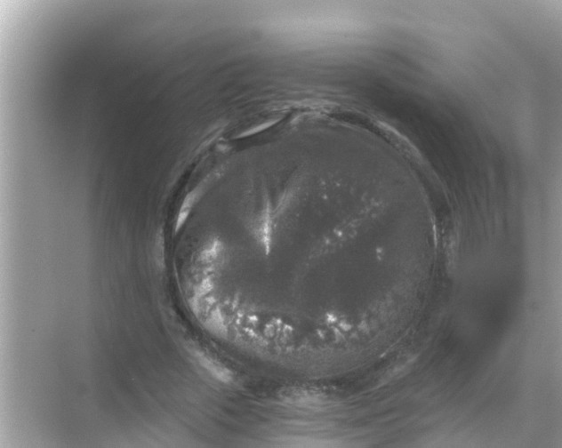 X0000068300729200605051932