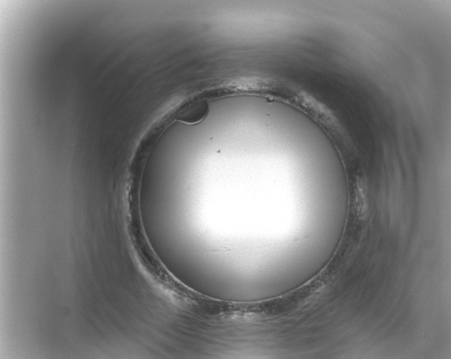 X0000068300730200605051932