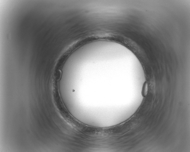 X0000068300732200605051932